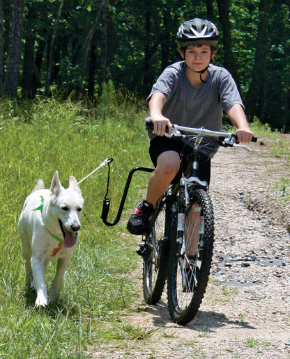 Springer Dog Exerciser Kit